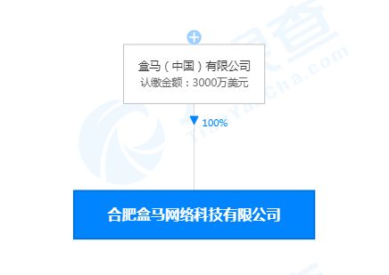 合肥盒馬網絡科技公司成立，注冊資本3000萬美元聚焦網絡信息技術